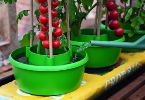 Image of Garland Green Plant Halos - 3 Pack by Garland