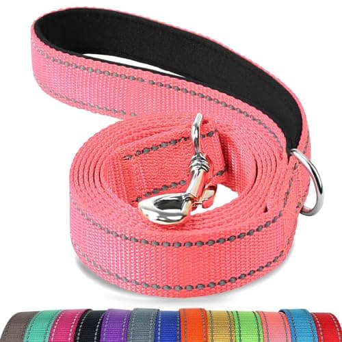 Image of Joytale Dog Lead Strong, Double-Sided Reflective Leads with Soft Padded Handle for Training, Walking leash for Medium & Small Dogs, 1.2m x 2.5cm, Neon Pink