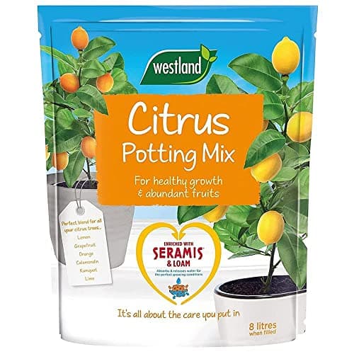 Image of Westland Peat Free Citrus Potting Compost Mix 8L