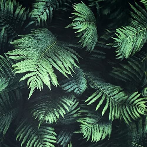 Image of Arthouse | Fern Wall Green Wallpaper | Photographic Fern Design | 3D Effect Deep Green Leaves | Easy to Apply | Paste The Paper | 1005 x 53 cm