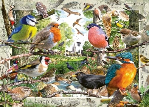 Image of Ravensburger Our Feathered Friends 1000 Piece Jigsaw Puzzles for Adults and Kids Age 12 Years Up