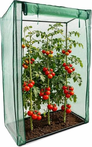 Image of DIVCHI Greenhouse Garden Tomato Growhouse Vegetables Grow Tent Green House With Roll-Up Door Reinforced Cover & Heavy Duty Frame