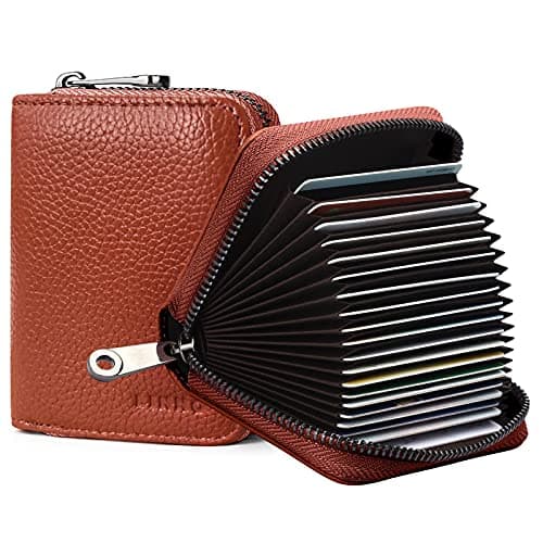 Image of Goopai RFID 20 Card Slots Credit Card Holder Genuine Leather Accordion Card Case Small Wallet for Women or Men with Zipper (Brown)