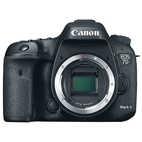 Image of Canon EOS 7D Mark II Camera Case 20.9MP CMOS 5472x3648 pixels Black - Digital Cameras (20.9MP, 5472x3648 pixels, CMOS, Full HD, 820g, Black)