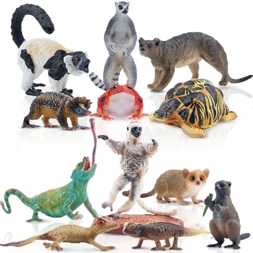 Image of toymany 12PCS Madagascar Animal Figurines, Realistic Forest Animals Figures, Jungle Zoo Animal Figure Set Includes Lemur Tortoise Chameleon Verreaux's Sifaka, Christmas Birthday Gift Collection Toy