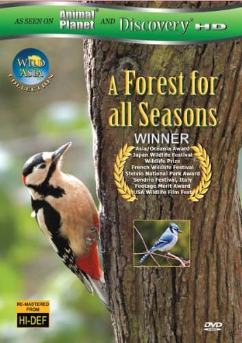 Image of Wild Asia: A Forrest for All Seasons [DVD] [2010] [Region 1] [US Import] [NTSC]