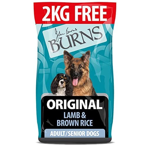 Image of Burns Pet Nutrition Hypoallergenic Complete Dry Dog Food Adult and Senior Dog Original Lamb and Brown Rice 12kg + 2kg