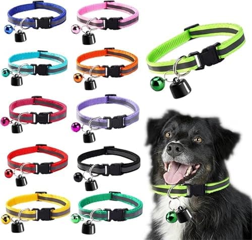 Image of GPS Pet Tracker for Dogs and Cats, No Monthly Fee, iOS/Android Compatible, Global Tracking Device for Collars and Luggage (pet collar + tracker)
