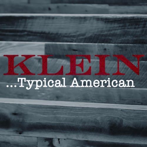 Image of Typical American