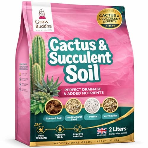 Image of Cactus Succulent Soil Grow Buddha - Natural Cactus and Succulent Indoor Potting Compost Mix - Enriched with Special Nutrients –Cactus and Succulent Potting Soil Compost Mix for Indoor Plants (2L)