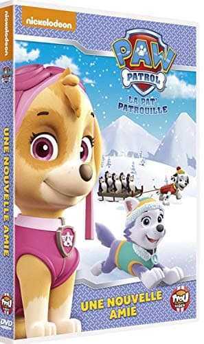 Image of Paw Patrol 6 - Brave Heroes, Big Rescues [import]
