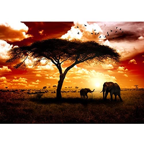 Image of Runa Art Photo Wallpaper Africa Elephants 352 x 250 cm Non-Woven Wall Art XXL Moderne Living Room Bedroom Brown Orange 9110011a