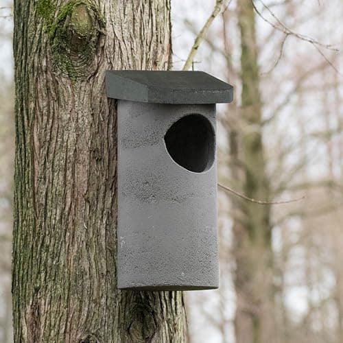 Image of CJ Wildlife Owl Nest Box – Bird Box for Garden – WoodStone Grey Wood Fibre and Concrete – Mounting Bracket Included – 10 Year Guarantee