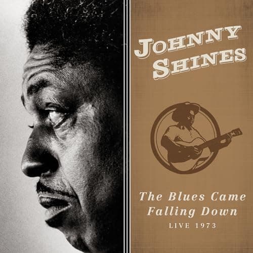 Image of The Blues Came Falling Down - Live 1973