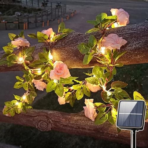 Image of SUAVER Solar Rose Vine String Lights Outdoor Decorative Artificial Rose Flower Ivy Garland Light,Waterproof Solar Fairy Light Champagne Roses Decor for Balcony Terrace Fence Wedding Party (2m 20LED)