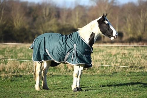Image of Lightweight No Fill Turnout Horse Rug Horse Turnout Rug 0g Fill 600d Lightweight No Fill Turnout Horse Rugs | Standard Neck Horse Rain Sheet (6'3'')