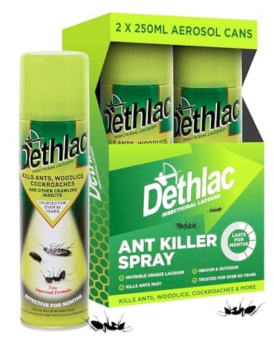 Image of 2 x Dethlac Spray | Ant Killer Indoor & Outdoor 250ml Aerosol | Insect Killer Indoor & Outdoor Use – Insecticide Bug Spray Lacquer - Effective for Ants, Cockroach, Woodlice & Other Crawling Insects