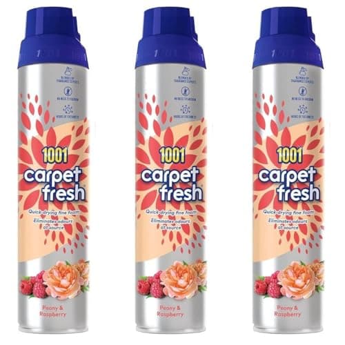 Image of 1001 Carpet Fresh Peony & Raspberry Odour Remover 300ml (Pack of 3)
