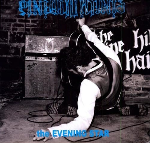 Image of Evening Star [VINYL]