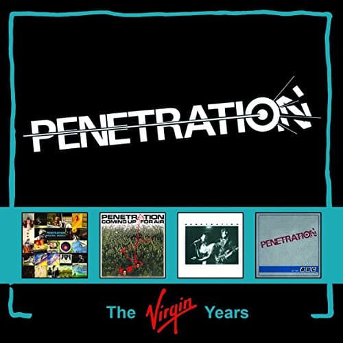 Image of The Virgin Years