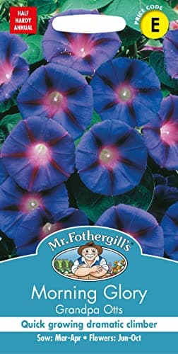Image of Mr Fothergill's Morning Glory Grandpa Otts