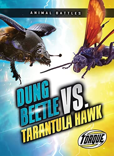 Image of Dung Beetle vs. Tarantula Hawk (Animal Battles)