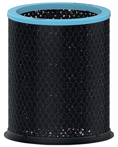 Image of Leitz Trusens Allergy and Flu Carbon Replacement Filter For Leitz Z-3000/Z-3500 Air Purifier, Removes Common Odours and VOCs, Pack Of 1, 2415120