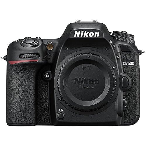 Image of Nikon D7500