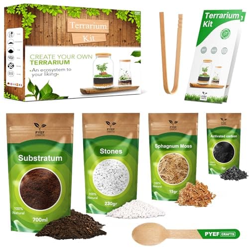 Image of PYEF CRAFTS DIY Terrarium Kit for Plants – Starter Set for Garden in Bottle – Self‑Sustaining Ecosystem – Supplies for Succulents, Air Plants, Fern – Set without Jar (M), Without Plants