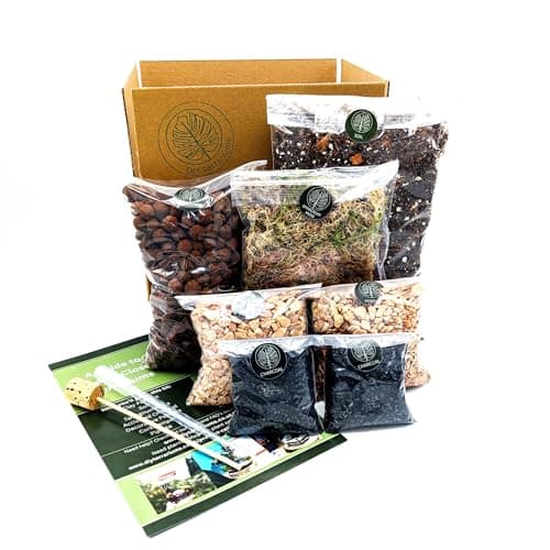 Image of DIY Large Open and Closed Terrarium Kit (Champagne Pebbles)
