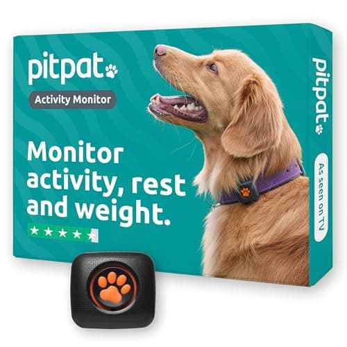 Image of PitPat Dog Activity And Fitness Monitor (No GPS) - No Recharging or Subscription Required - Suitable for All Dogs And Fits All Collars - Smart Activity Tracker - 100% Waterproof Dog Fitness Tracker