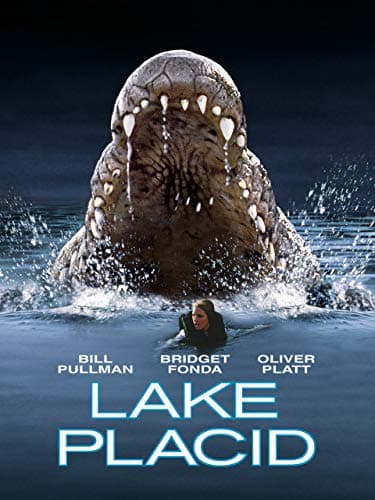 Image of Lake Placid