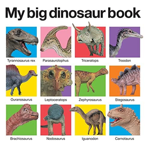 Image of My Big Dinosaur Book (My Big Board Books)