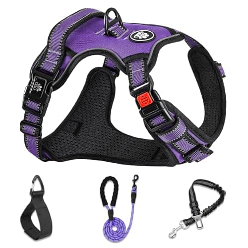 Image of NESTROAD Purple No Pull Dog Vest Harness and Lead Set for Large Dogs, Size L Escape Proof Dog Vest Harness with Soft Padded Leads, Neck 15~19" Chest 19~29", Reflective Adjustable Pet Harness
