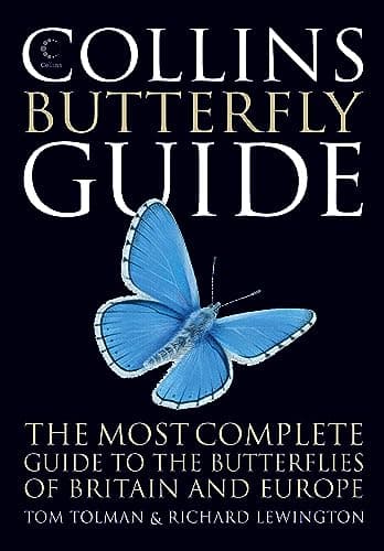 Image of Collins Butterfly Guide: The Most Complete Field Guide to the Butterflies of Britain and Europe