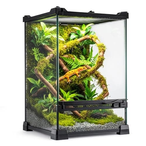 Image of Glass Reptile Terrarium Insect Breeding Tank Vivarium Habitats for Lizards, Horned Frogs, Snakes, Spiders Reptile Glass Terrarium Tank Amphibians Box (Vertical)