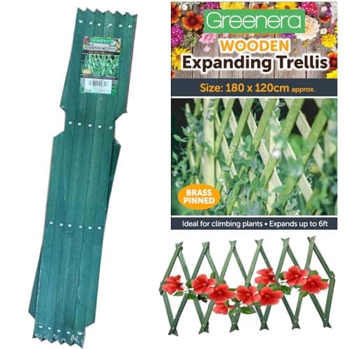 Image of Garden Trellis for Climbing Plants Expanding Wooden Trellis 180x120 cm, Riveted Garden Trellis,Wall Trellis Fence Panel for Patio Garden, Green