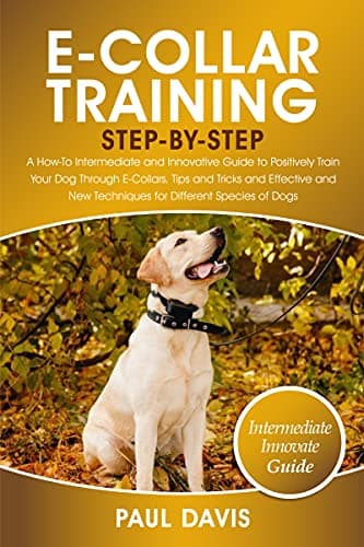 Image of E-Collar Training Step-By-Step: A How-To Intermediate and Innovative Guide to Positively Train Your Dog Through E-Collars.Tips and Tricks and Effective and New Techniques for Different Species of Dog