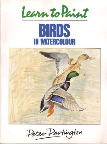Image of Learn to Paint Birds in Watercolour (Collins Learn to Paint)