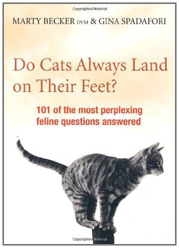 Image of Do Cats Always Land on Their Feet?