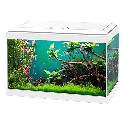 Image of Ciano Aqua 20 Classic Aquarium Fish Tank - White