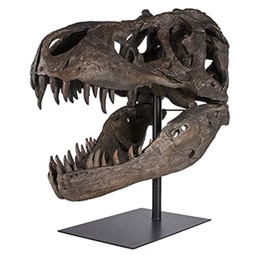 Image of T-Rex Skull Replica - Tyrannosaurus Rex Fossil Statue - Dinosaur Bone Skeleton Model for Home Office Display Decorative Craft Decoration