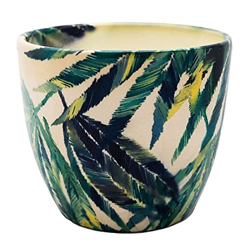 Image of Ivyline Indoor Monza Botanical Fern Planter, Cream/Green, 13cm Diameter