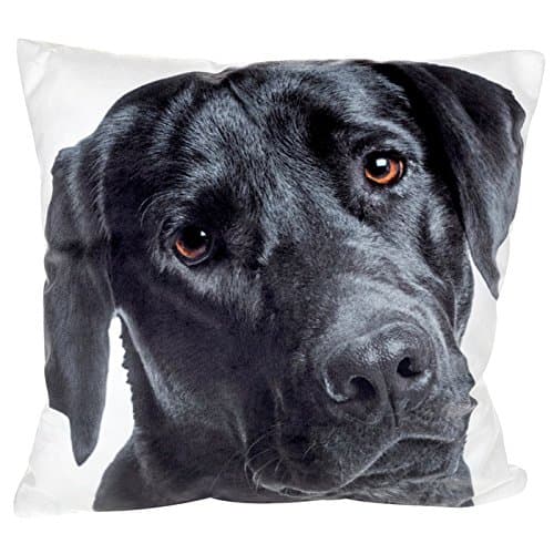 Image of Visage Cushion Small Black Labrador