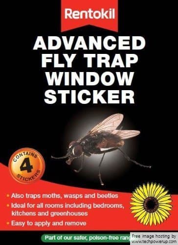 Image of 2x Fly Traps Window Stickers Kills Flies Rentokil Fly Trap 4 Pack For Greenhouses
