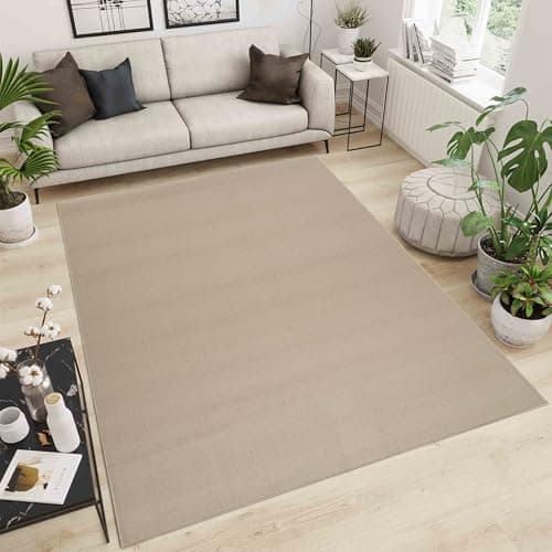 Image of Simple Low Pile Rugs Living Room – Modern Tufted Area Rugs for Living Room with Felt Backing Light Beige 120x170 cm