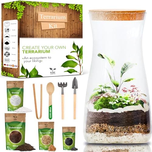 Image of PYEF CRAFTS DIY Terrarium Kit for Adults – Build Your Own Self‑Sustaining Closed Ecosystem – 34 fl oz (1‑Liter) Glass Terrarium – Succulents, Air Plants, Fittonia, Fern – Plants Not Included