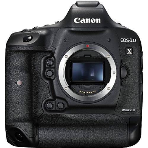 Image of Canon EOS-1D X MARK II