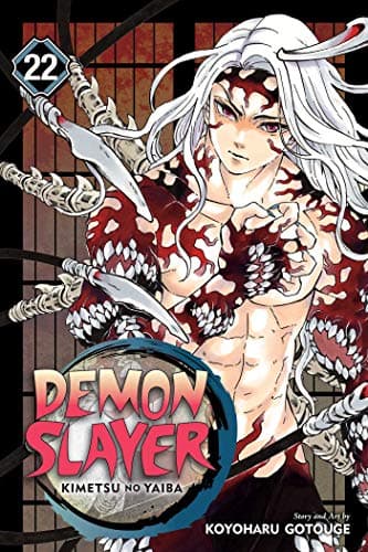 Image of Demon Slayer: Kimetsu no Yaiba, Vol. 22: The Wheel Of Fate: Volume 22
