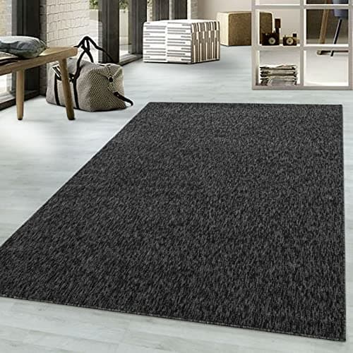 Image of viceroy bedding NIZZA Modern Rugs Living Room Carpet Mat For Bedroom Large Area Rug Hallway Kitchen Extra Large Size Short Pile Flat Weave (240cm x 340cm (7.9ft x 11.2ft), Black)